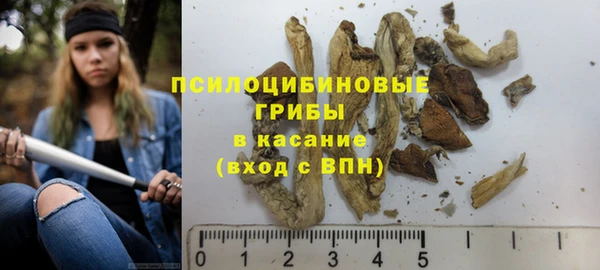 эйфоретик Аркадак