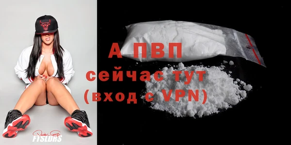 индика Билибино