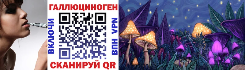 Галлюциногенные грибы Cubensis  Сортавала 