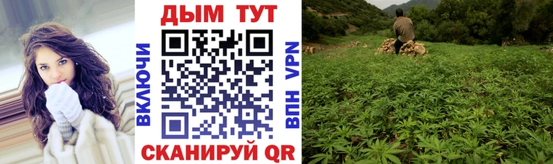 закладки  mega ссылка  darknet как зайти  Сортавала  Бошки Шишки ГИДРОПОН 